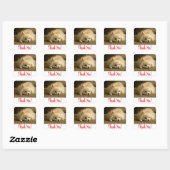 Dank u Pomeranian Puppy Dog Stickers / labels (Vel)