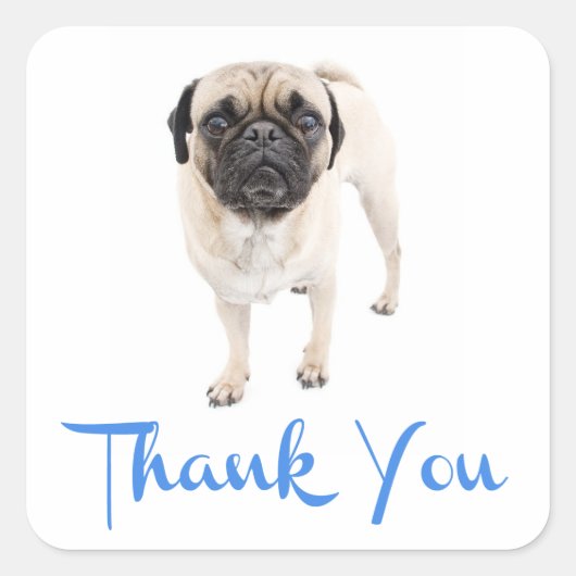 Dank u Pug Puppy Dog Groet Sticker / Label (Voorkant)