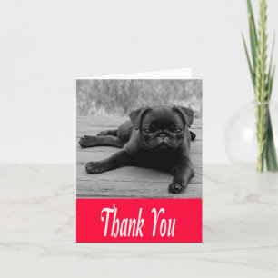 Dank u Pug Puppy Roze, Zwart & Wit Note Kaart