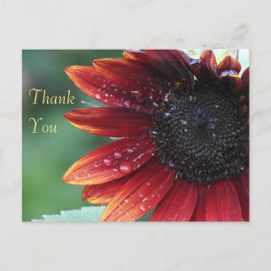 Dank u Rode Zonnebloem Briefkaart