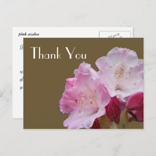 Dank u, roze azalea bloemen, 杜 花 briefkaart (Voorkant / Achterkant)
