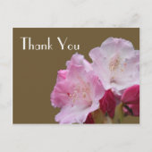 Dank u, roze azalea bloemen, 杜 花 briefkaart (Voorkant)