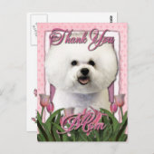 Dank u - Roze Tulpen - Bichon Frise Briefkaart (Voorkant / Achterkant)