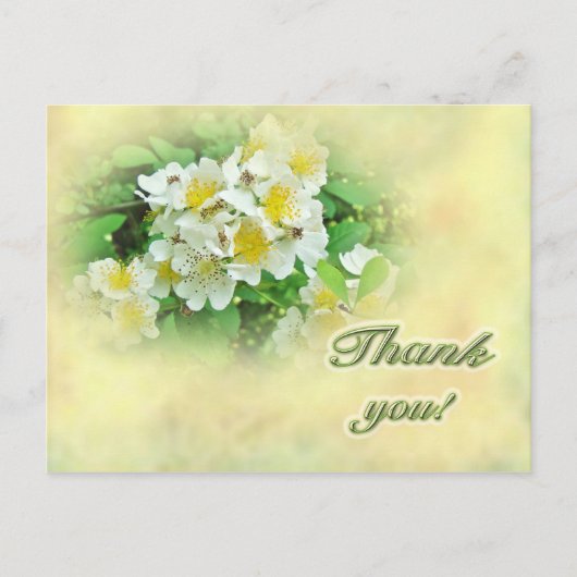 Dank u Rozen Multiflora Briefkaart (Voorkant)