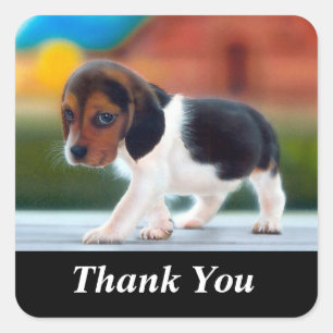 Dank u Schattigee Beagle Puppy Dog Sticker