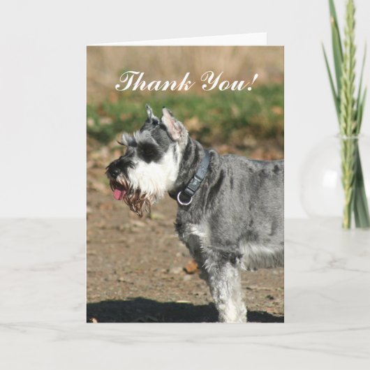 Dank u Schnauzer hond wenskaart Bedankkaart (Voorkant)
