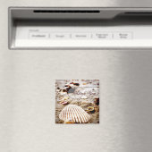 Dank u Seashells Beach Magnet Magneet (Insitu (Vaatwasser))