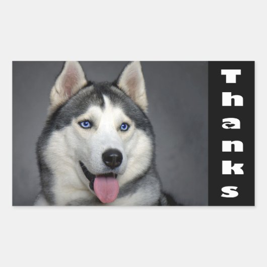 Dank u Siberische Husky Puppy Dog Custom Stickers (Voorkant)