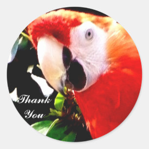 Dank u_Sticker Ronde Sticker