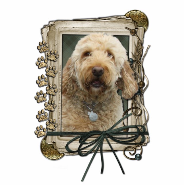 Dank u - Stone Paws - GoldenDoodle Staand Fotobeeldje (Voorkant)