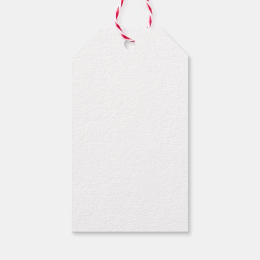 Dank u tropisch roze flamingo cadeaulabel (Achterkant)