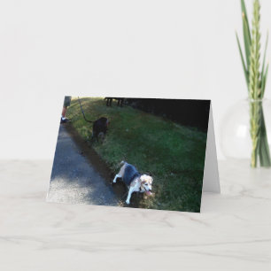 DANK U VOOR HOSPITALITEITSKAART BEDANKKAART