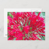 Dank u voor mooie Geweldige rode bloemen Briefkaart (Voorkant / Achterkant)