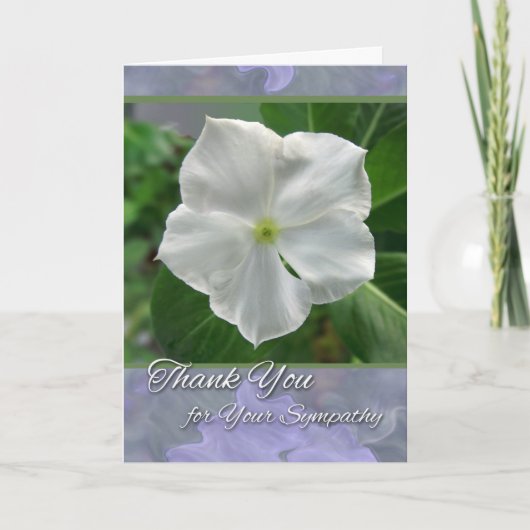 Dank u voor Sympathie White Vinca Vine Bloom Kaart (Voorkant)