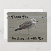 Dank u wel de verhuurde zeemeeuw van het gasthuis briefkaart (Voorkant / Achterkant)