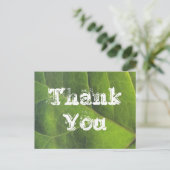 Dank U Wel Groen Blad Natuurwaardering Briefkaart (Staand voorkant)
