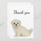 Dank u wel Maltese hond Pet Animal Bedankkaart (Voorkant / Achterkant)