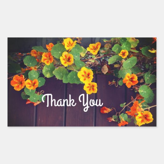 Dank u wel Nasturtium Stickers (Voorkant)