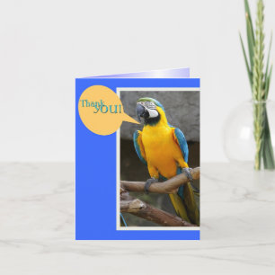 Dank u wel, opmerking van Parrot Bedankkaart