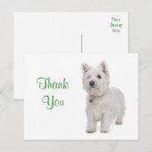 Dank u White Westie Puppy Dog Groeten Briefkaart (Voorkant / Achterkant)