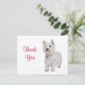 Dank u White Westie Puppy Dog Groeten Briefkaart (Staand voorkant)