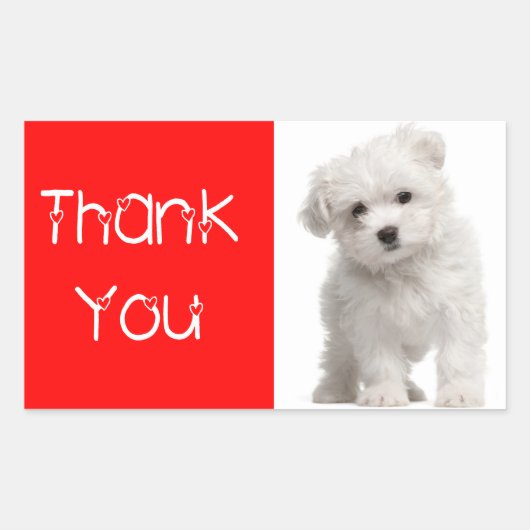 Dank u Witte Maltese Puppy Dog Sticker / Label (Voorkant)
