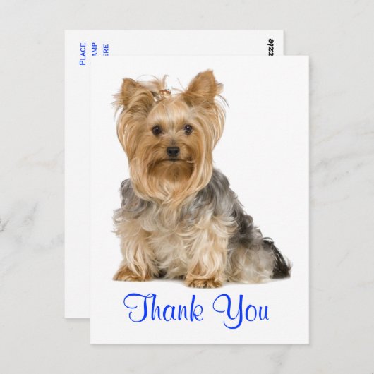 Dank u Yorkshire Terrier Puppy Dog Briefkaart (Voorkant / Achterkant)