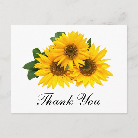 Dank u Zonnebloem Bloemen Greeting Post Kaart (Voorkant)