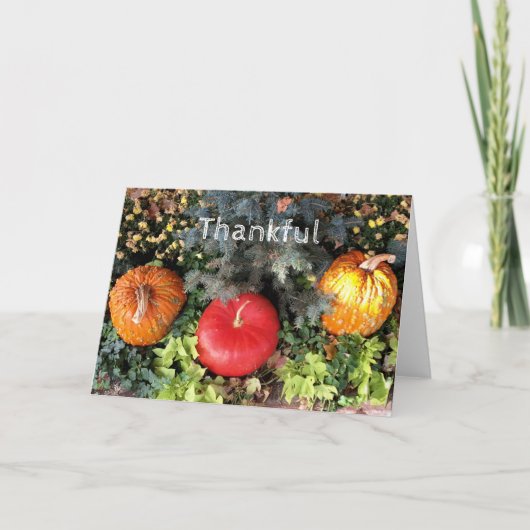 dankbaar feestdagen kaart (Voorkant)