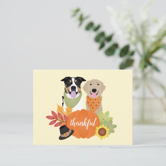 Dankbare Honden Thanksgiving Oogst Pompoenen Briefkaart (Staand voorkant)