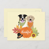 Dankbare Honden Thanksgiving Oogst Pompoenen Briefkaart (Voorkant / Achterkant)