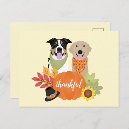 Dankbare Honden Thanksgiving Oogst Pompoenen Briefkaart (Voorkant / Achterkant)