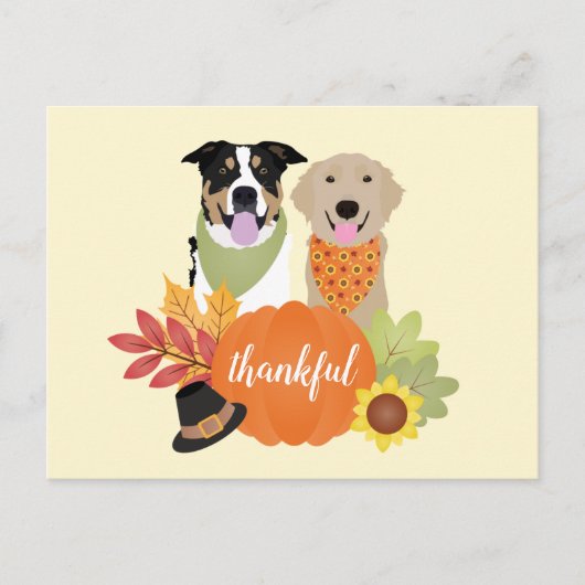 Dankbare Honden Thanksgiving Oogst Pompoenen Briefkaart (Voorkant)