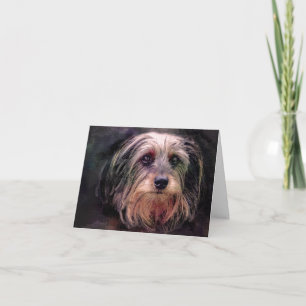 Dankjewel kaarten - Schattigee Hond Wenskaarten