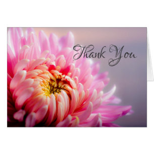 Dankjewel Roze Chrysant Macro Foto Notitiekaart