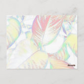 Dankjewelsansichtkaart Briefkaart (Achterkant)