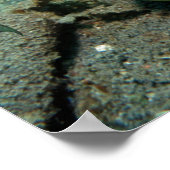 Danni het Mermaid-Poster Poster (Hoek)