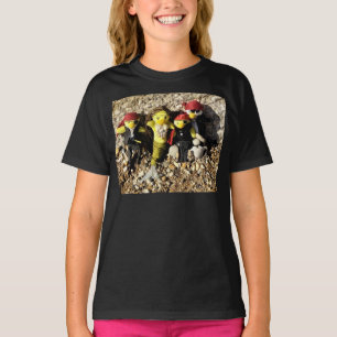 Danni la Sirène avec T-Shirt de Pirates