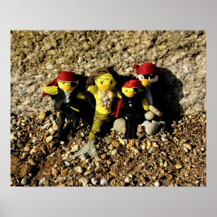 Danni la Sirène et les Pirates Affiche