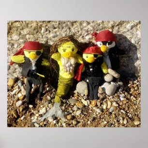 Danni la Sirène et les Pirates Affiche
