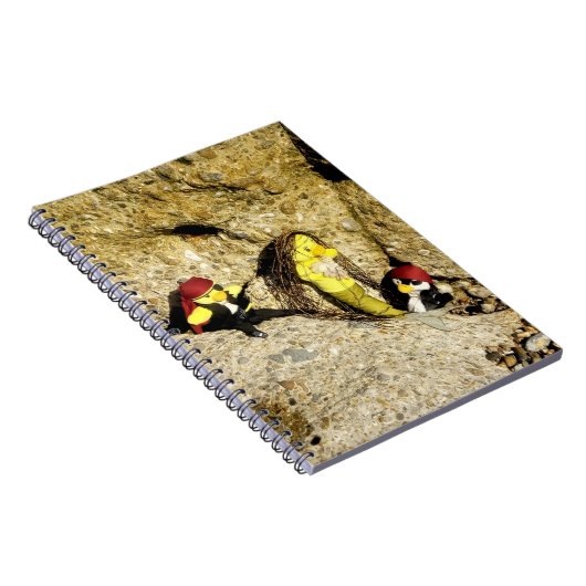 Danni le Carnet de sirène (Côté Droit)