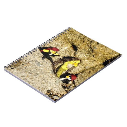 Danni le Carnet de sirène (Côté gauche)