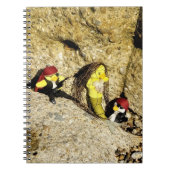 Danni le Carnet de sirène (Devant)