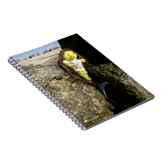 Danni le Carnet de sirène (Côté Droit)