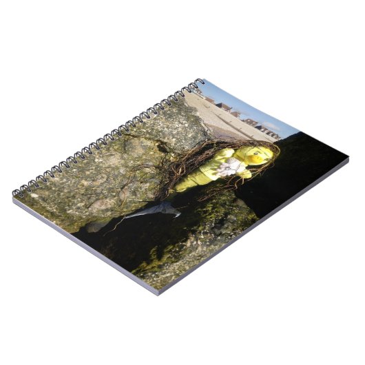 Danni le Carnet de sirène (Côté gauche)