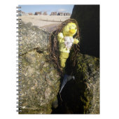 Danni le Carnet de sirène (Devant)