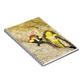 Danni le Carnet de sirène (Côté Droit)