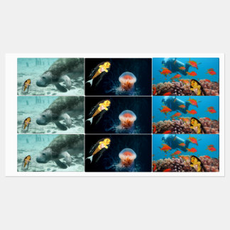 Danni the Mermaid en haar vrienden Labels