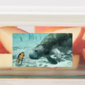 Danni the Mermaid en haar vrienden Labels (Aangebracht)