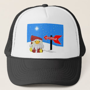 Danny Duck als Kerstman gaat naar de Noordpool. Trucker Pet